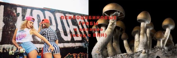 соль ск Карпинск