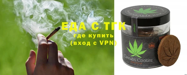 гашик Каменка