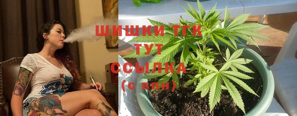 твердый Зеленокумск