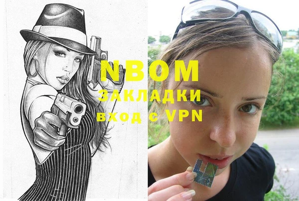 прущие грибы Карталы
