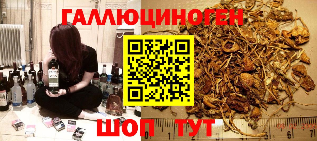 Галлюциногенные грибы прущие грибы  Псилоцибиновые грибы Psilocybine cubensis  Наро-Фоминск  Вход с VPN 